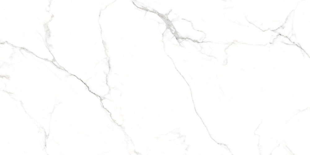 Dlg - 131 60x120cm Porcelain Tiles - Color: Whites