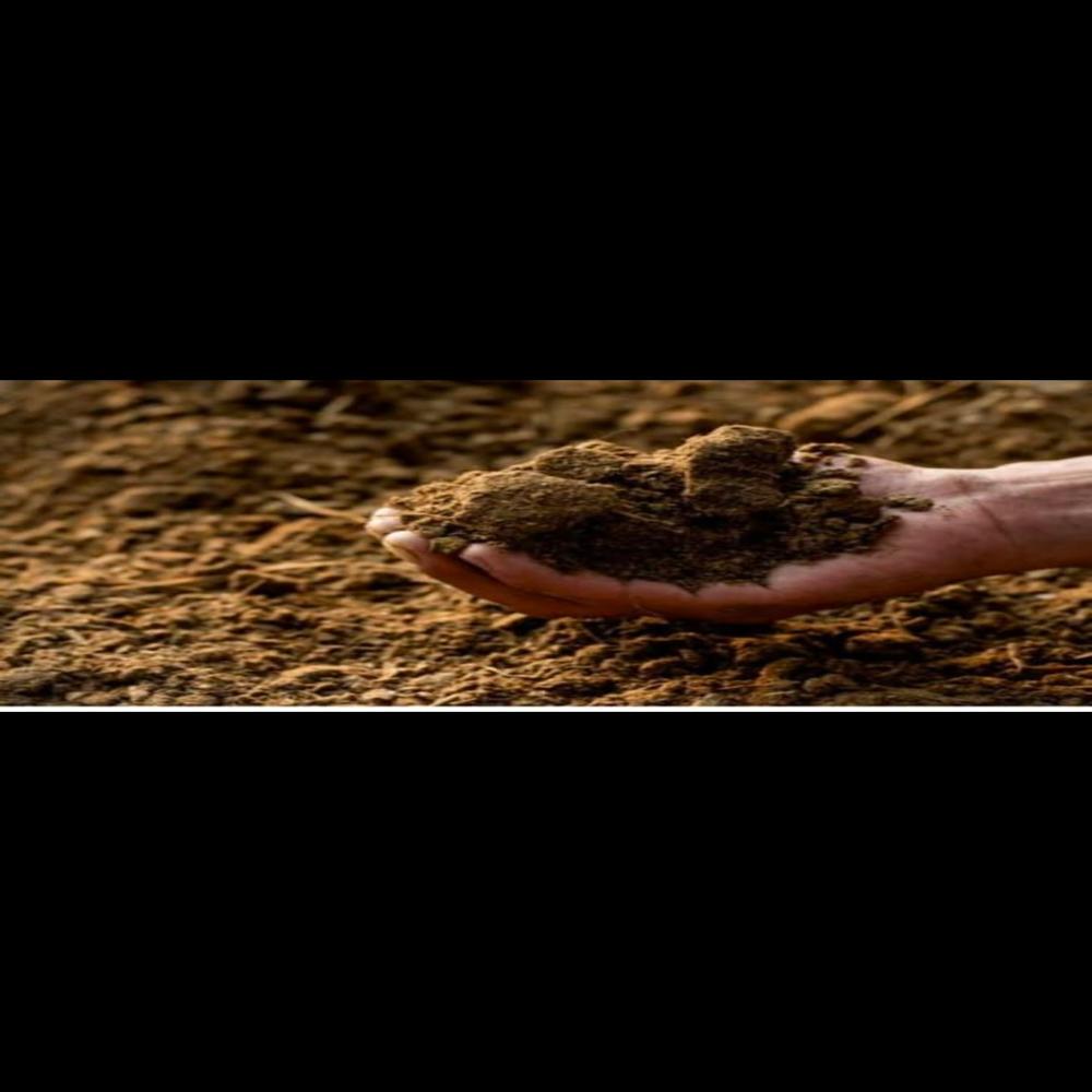 Cow Dung Manure - Color: Brown