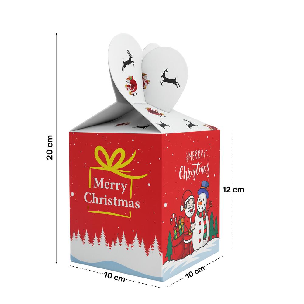  Merry Christmas Gift Box - RU-CM208