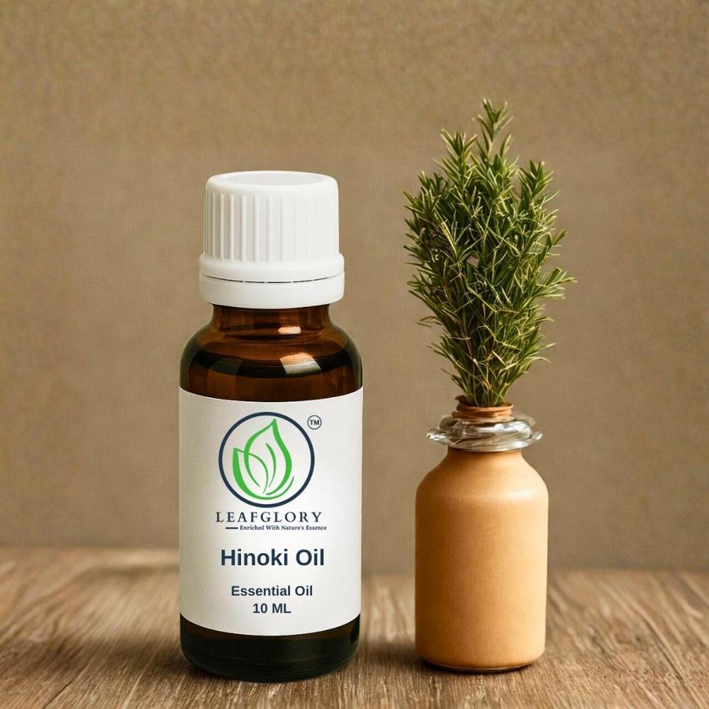 Hinoki Oil (Hinoki Wood Essential Oil) 100% Pure & Natural for Perfumery, Cosmetics & Aromatherapy | Manufacturer & Exporter | Leafglory