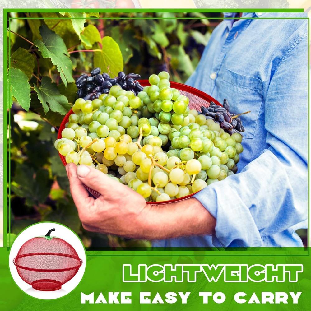 Fruit Backet