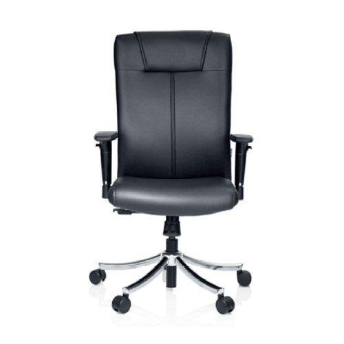 Xylus LT Office Chair