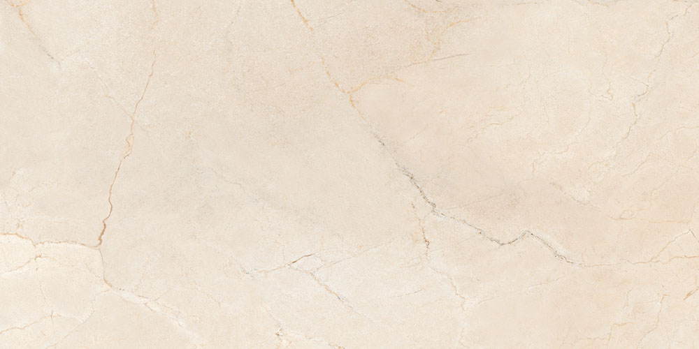 DLG - 136 60X120CM PORCELAIN TILES
