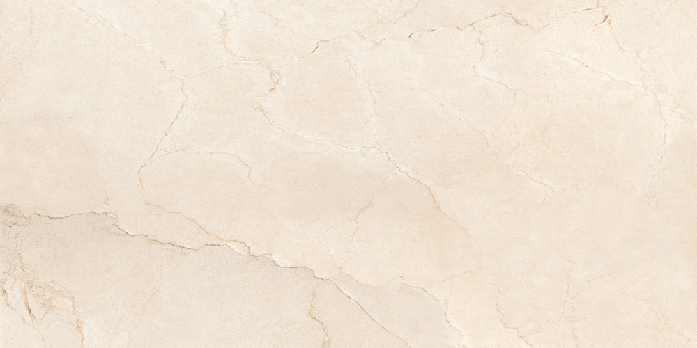 DLG - 136 60X120CM PORCELAIN TILES
