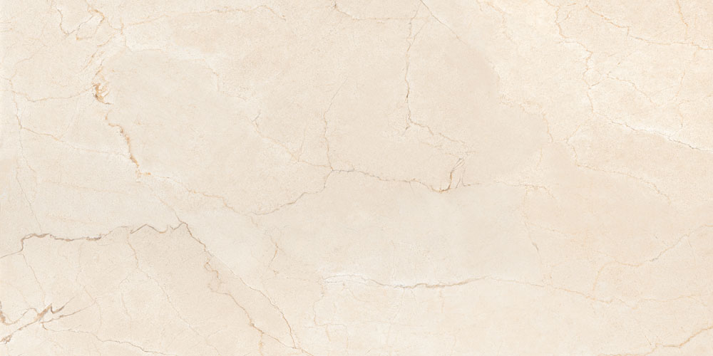 DLG - 136 60X120CM PORCELAIN TILES
