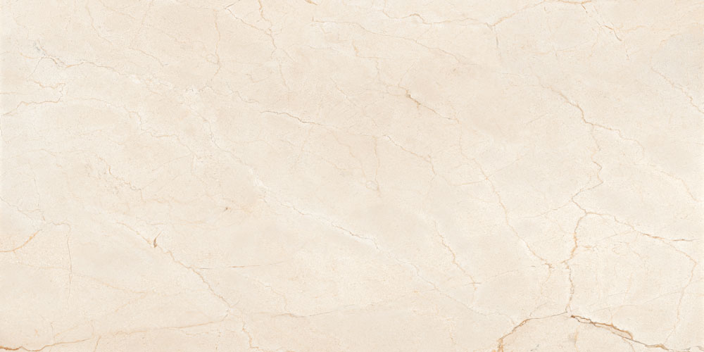 DLG - 136 60X120CM PORCELAIN TILES