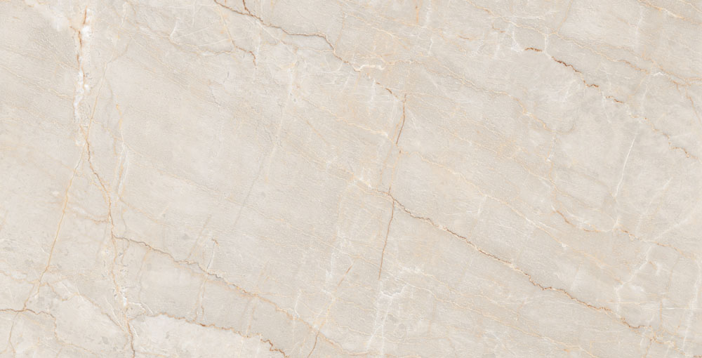 DLG - 142 60X120CM PORCELAIN TILES