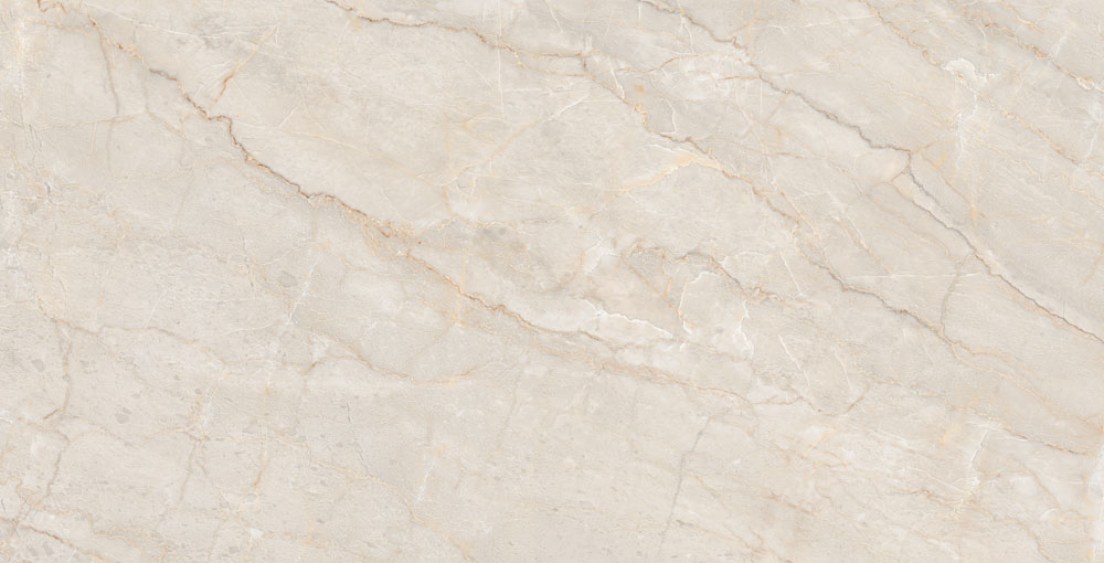 DLG - 142 60X120CM PORCELAIN TILES