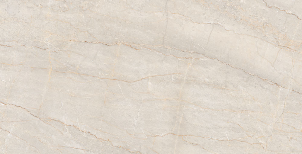 DLG - 142 60X120CM PORCELAIN TILES