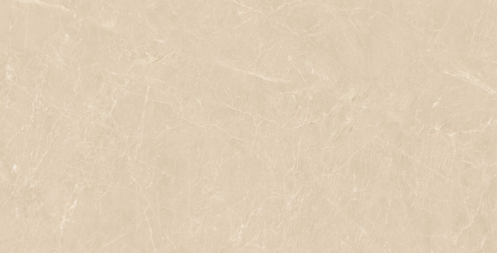 DLG - 143 60X120CM PORCELAIN TILES