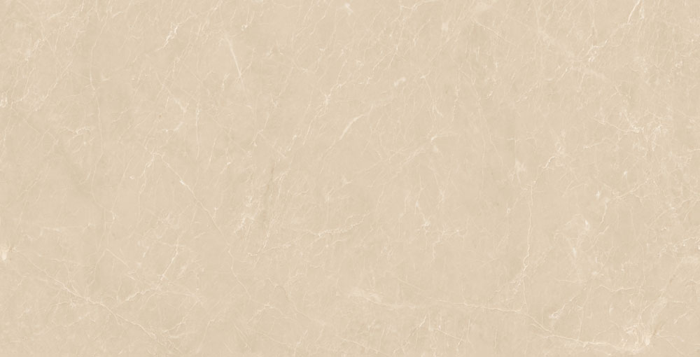 DLG - 143 60X120CM PORCELAIN TILES