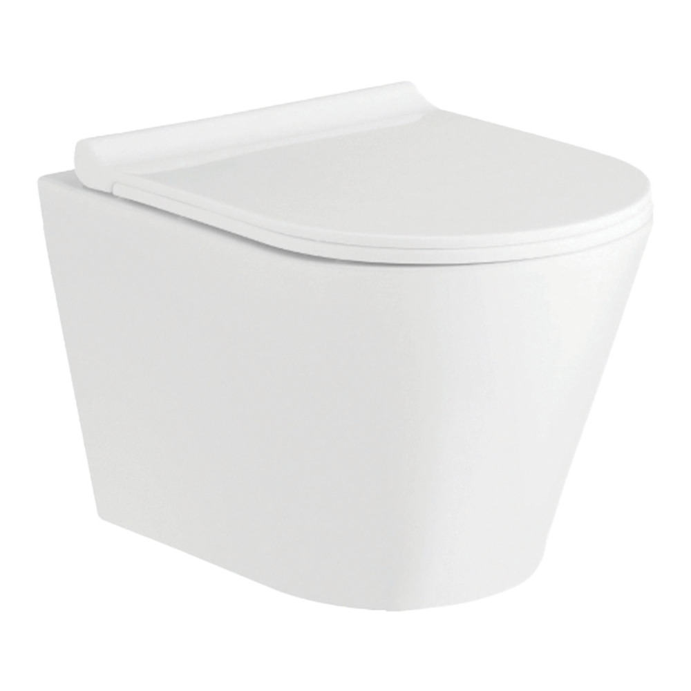 Luxury 165 Wall Hung Toilet Seat