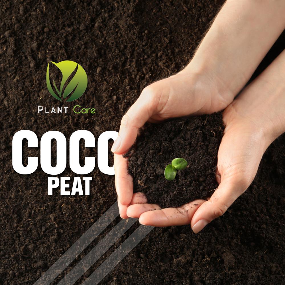 Plant Coco Peat - Application: Organic Fertilizer