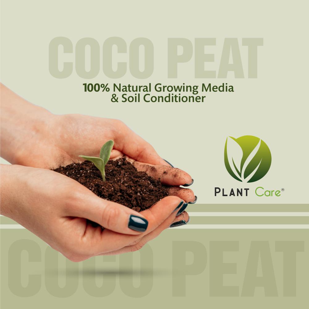 Plant Coco Peat - Application: Organic Fertilizer
