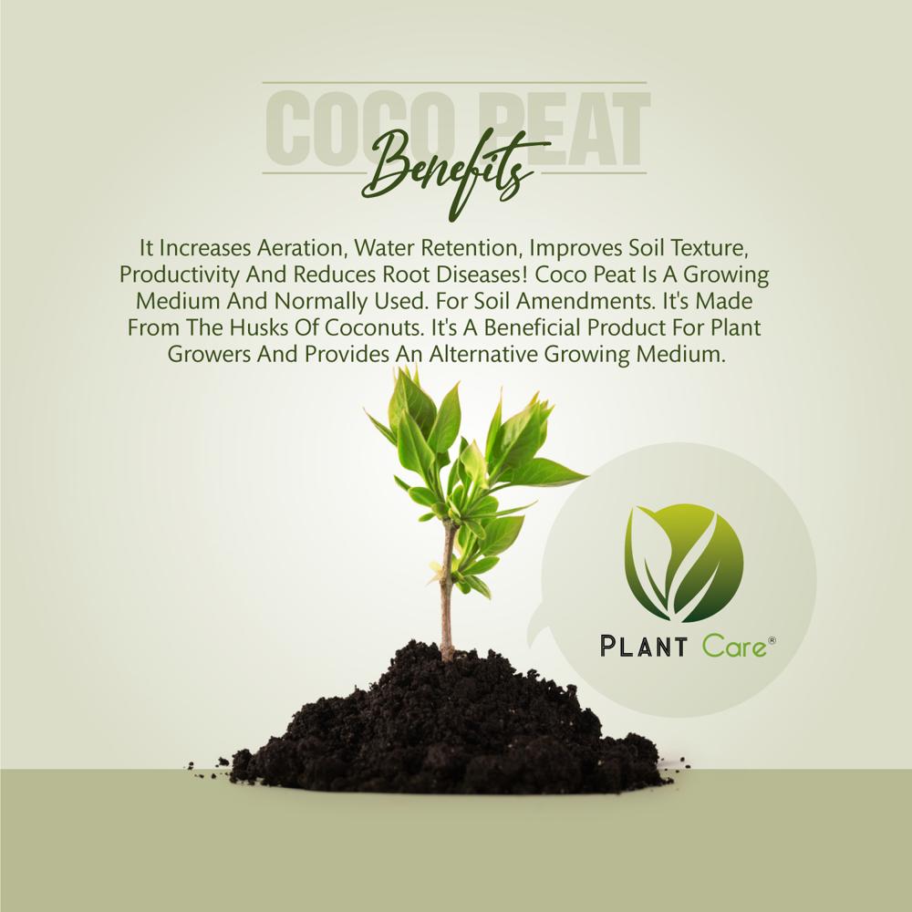 Plant Coco Peat - Application: Organic Fertilizer