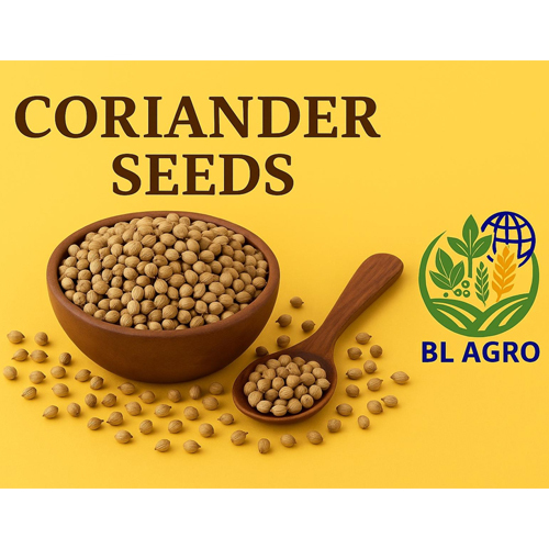 Coriander Seeds