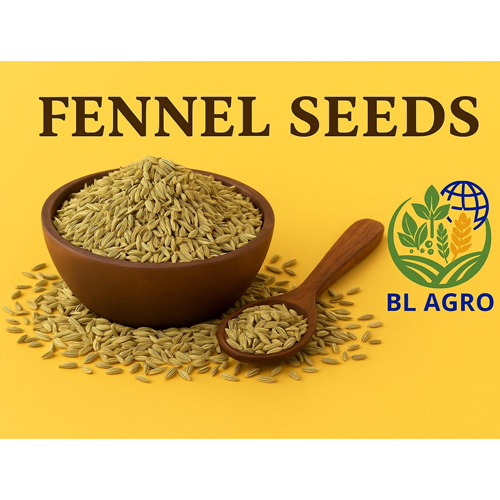 Fennel Seeds