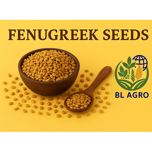 Fenugreek Seeds