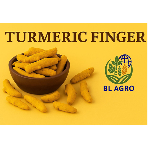 Turmeric Finger