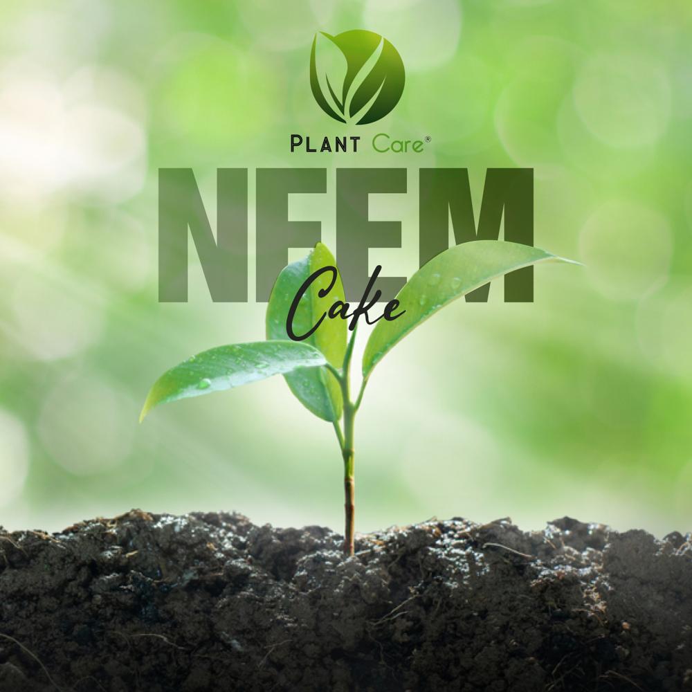Plant Neem Cake