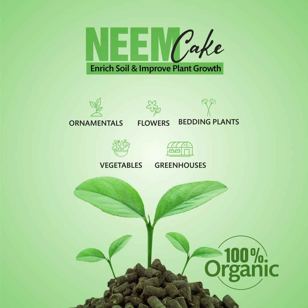 Plant Neem Cake