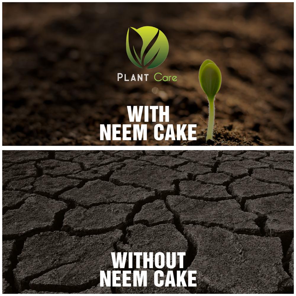 Plant Neem Cake