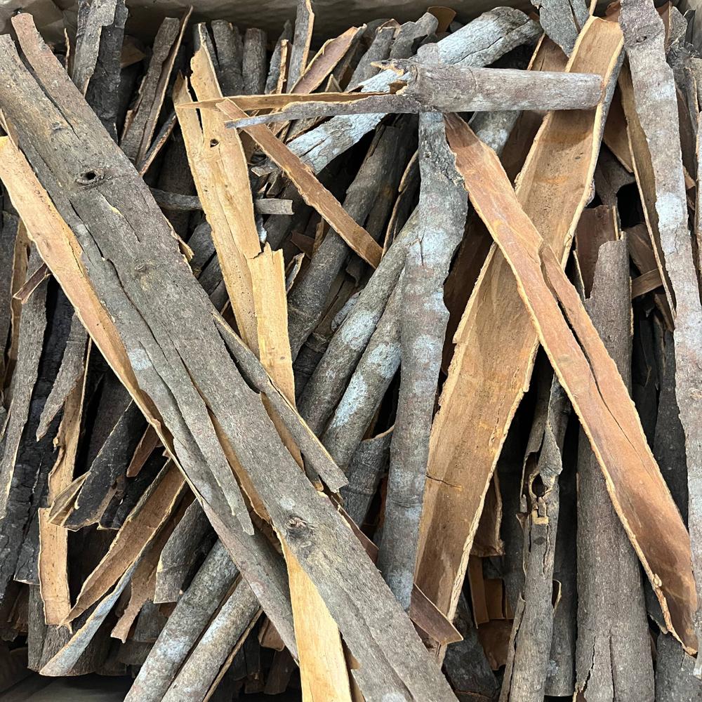 Fresh Cinnamon Stick - Raw Brown Bark, Thin Rolled Shape | Aromatic Flavour Enhancer, Digestive Aid, Antioxidant Properties