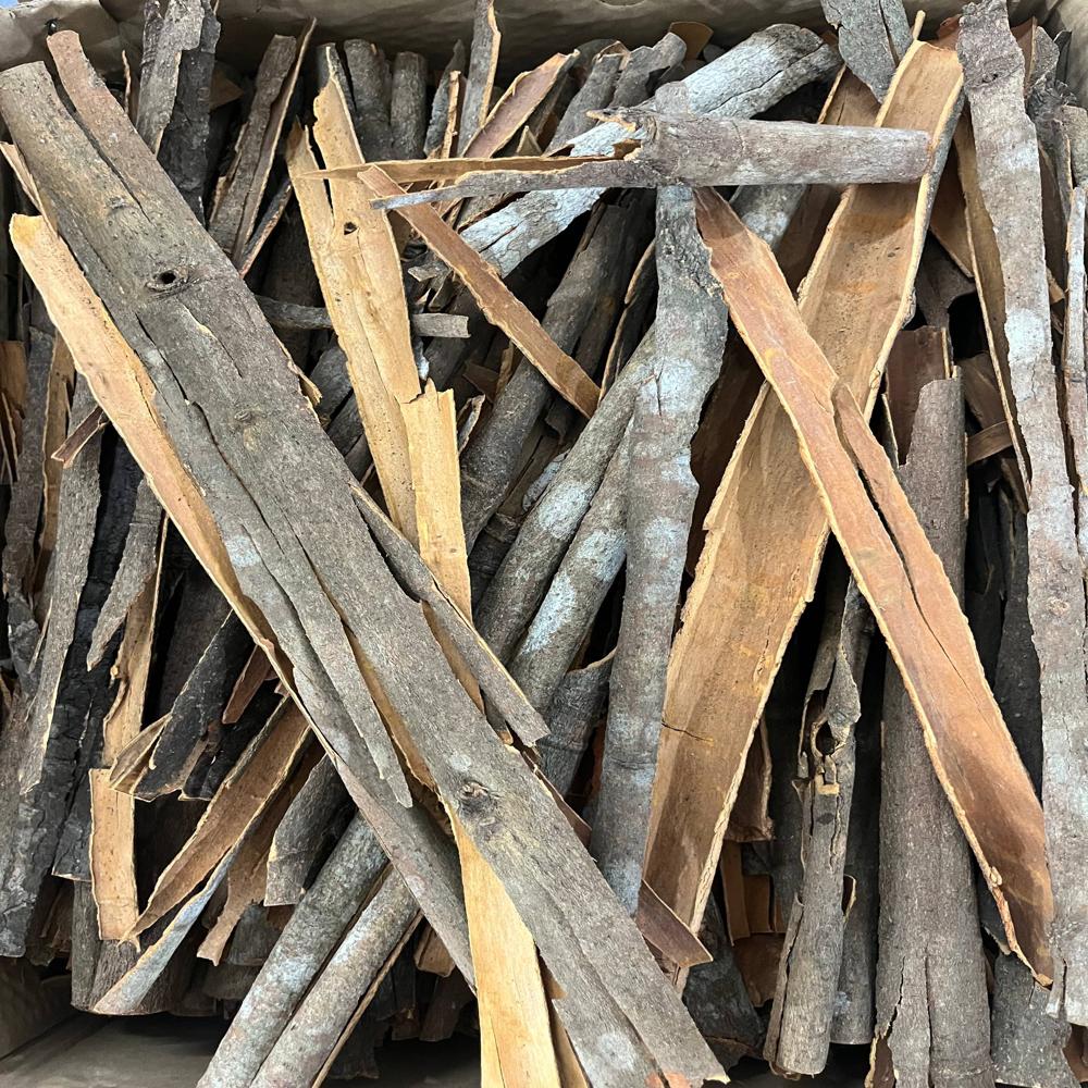 Fresh Cinnamon Stick - Raw Brown Bark, Thin Rolled Shape | Aromatic Flavour Enhancer, Digestive Aid, Antioxidant Properties