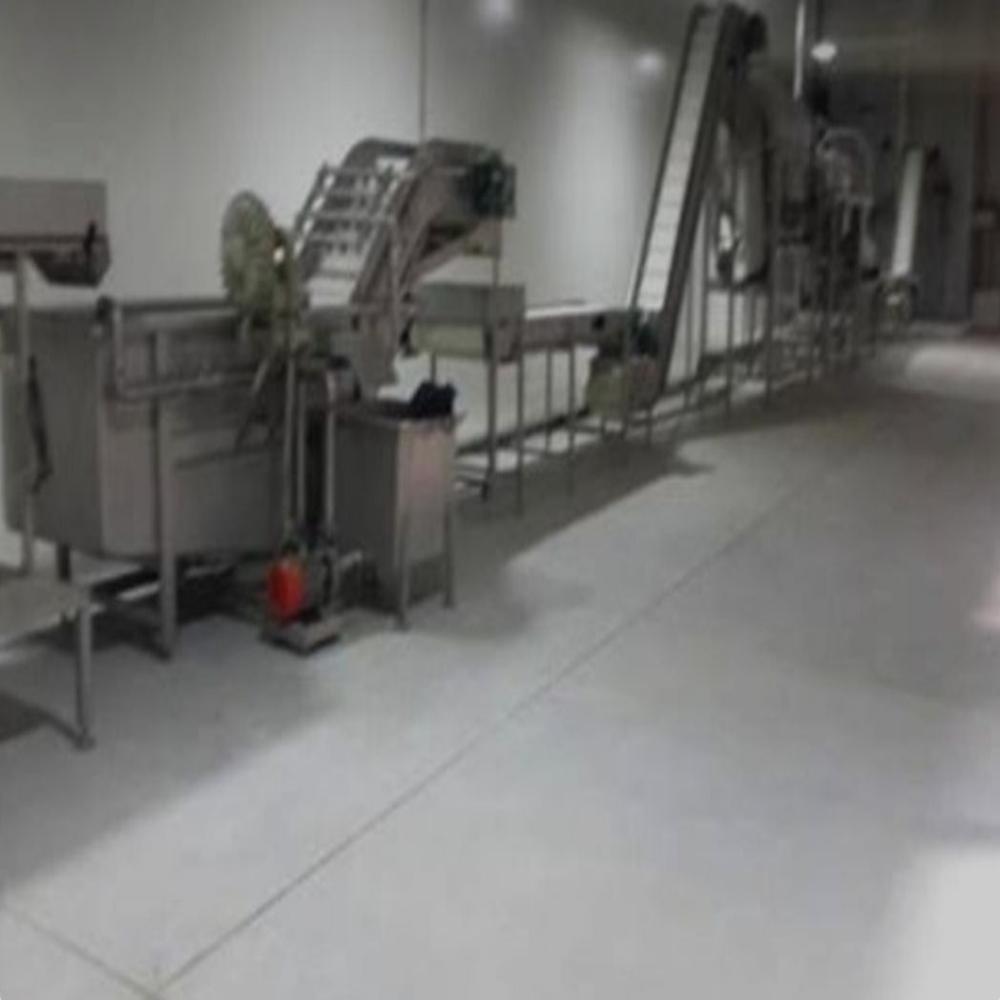  automatic Pineapple Processing Plant