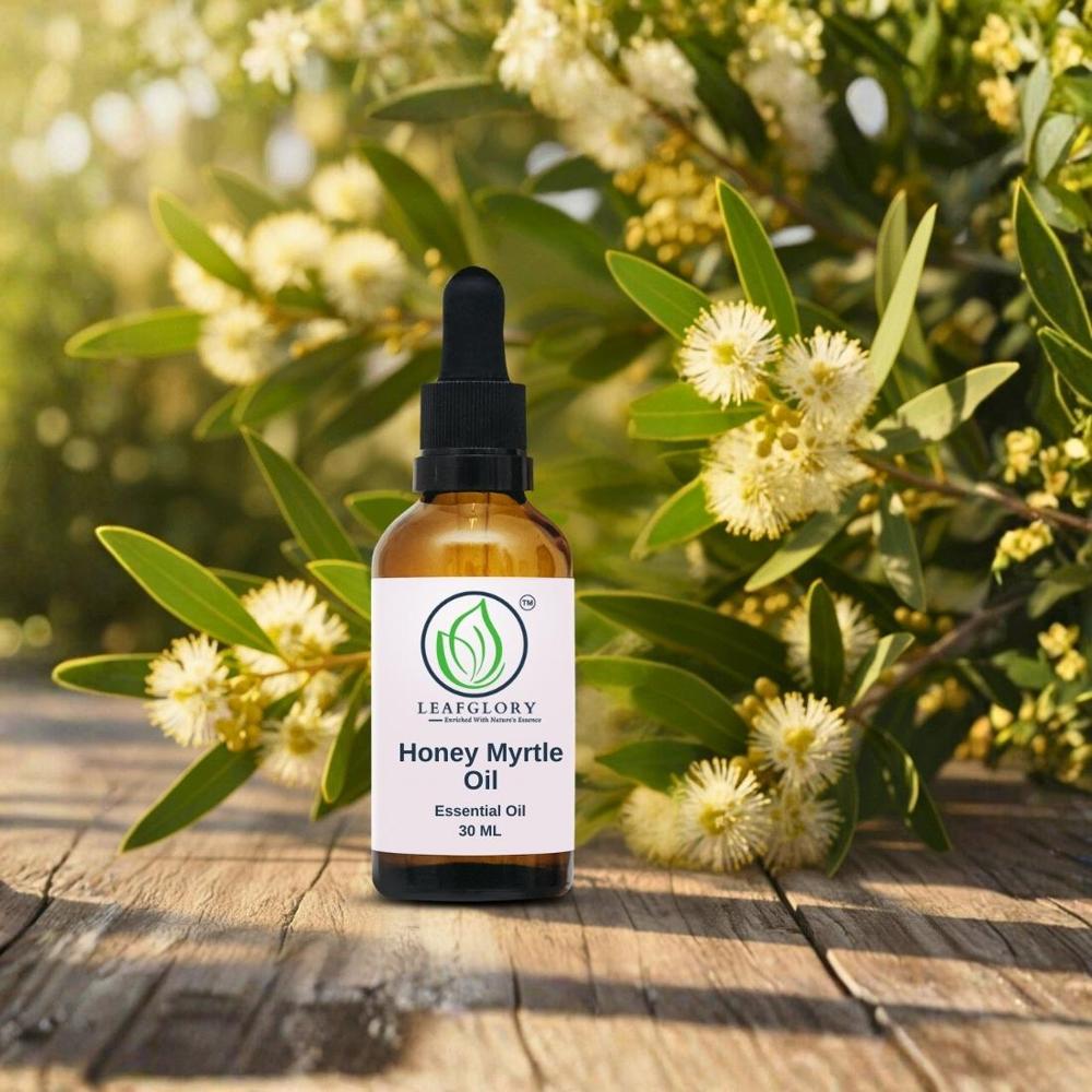 Honey Myrtle Oil 100% Pure & Natural Citrusy Floral Oil for Cosmetics, Perfumery & Aromatherapy | Manufacturer & Exporter | Leafglory