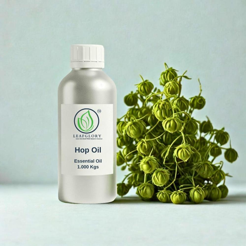 Hop Oil (Humulus Lupulus Essential Oil) 100% Pure & Natural Hop Cone Oil For Flavours, Perfumery, Cosmetics & Aromatherapy | Manufacturer & Exporter | Leafglory - Cas No: 8007-04-3