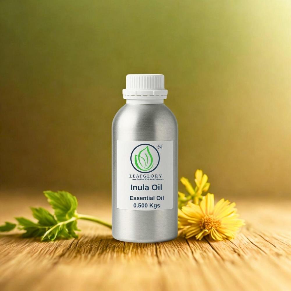 Inula Oil (Inula Graveolens Essential Oil) 100% Pure & Natural Herbal Oil For Aromatherapy, Respiratory Blends & Perfumery | Manufacturer & Exporter | Leafglory - Cas No: 92456-96-7