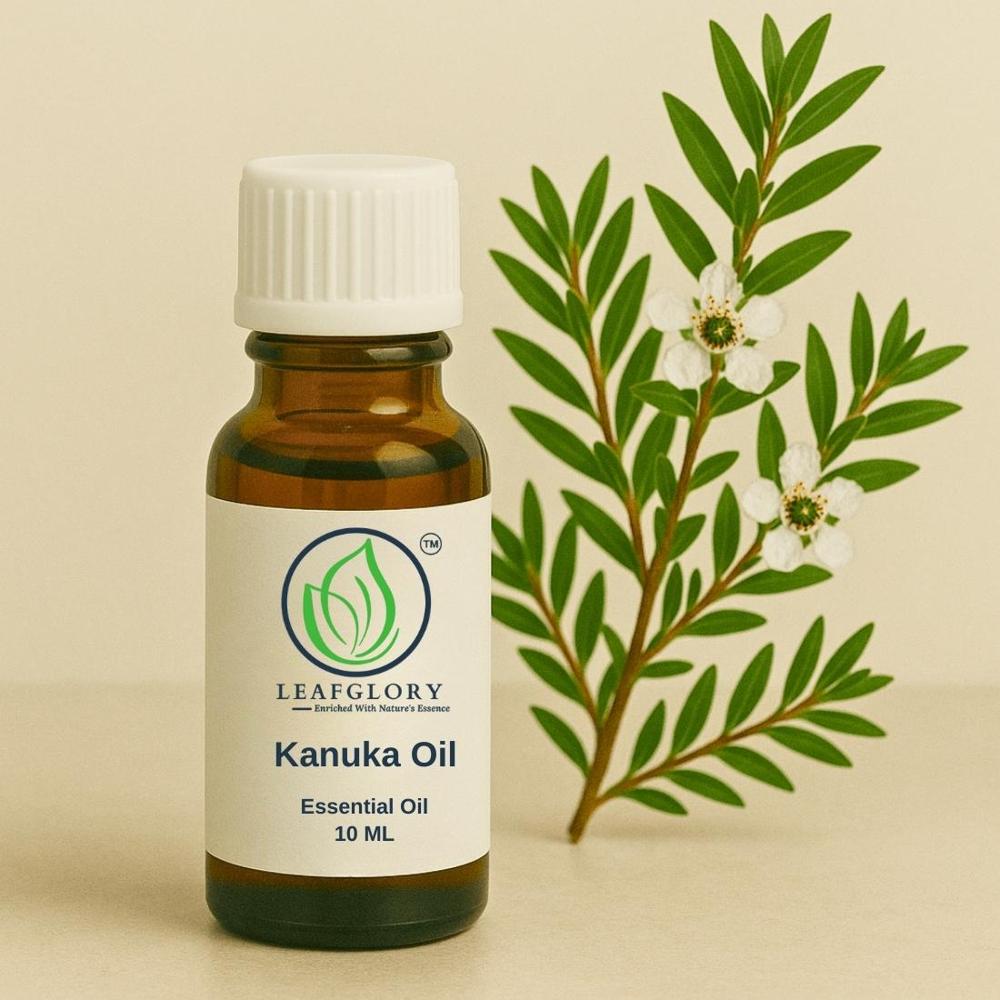 Kanuka Oil (ericoides Essential Oil) Natural Oil for Skin Care, Personal Care & Aromatherapy | Manufacturer & Exporter | Leafglory