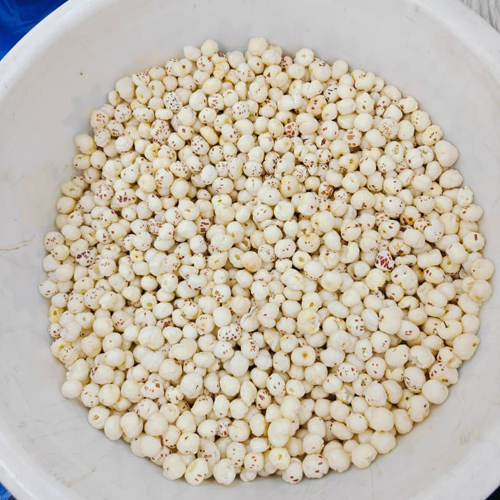 Suta Makhana - Color: White