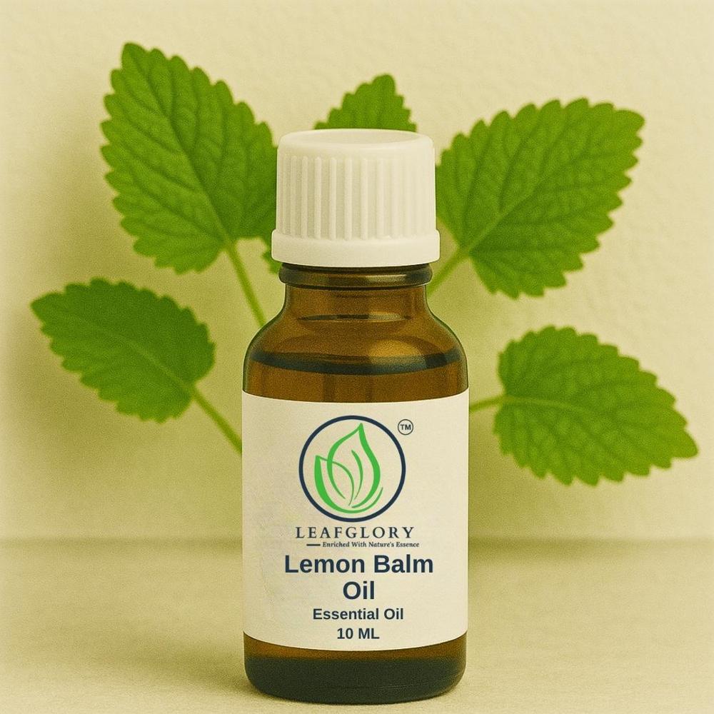 Lemon Balm Oil  | 100% Pure & Natural Lemon Balm Essential Oil for Skincare, Aromatherapy & Perfumery | Manufacturer & Exporter | Leafglory