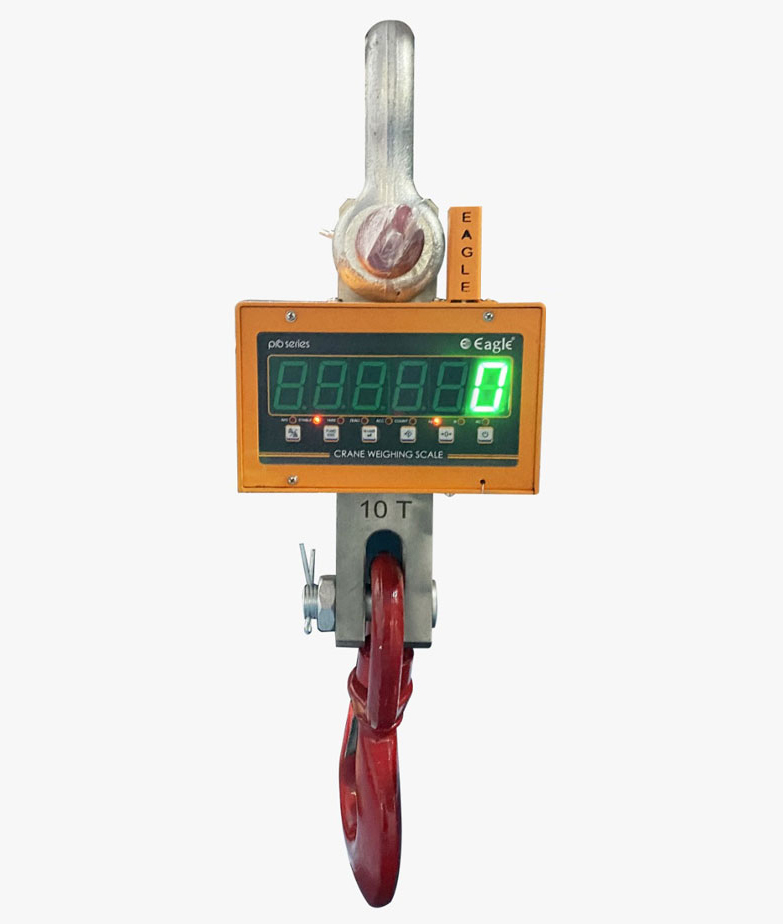 Crane Series Weighing Scale