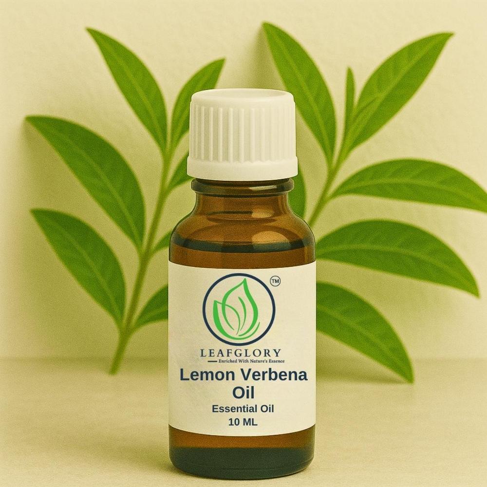 Lemon Verbena Oil (Aloysia citriodora Essential Oil)  100% Pure & Natural Fresh Lemony Floral Oil True Verbena for Skincare, Perfumery & Aromatherapy | Manufacturer & Exporter | Leafglory