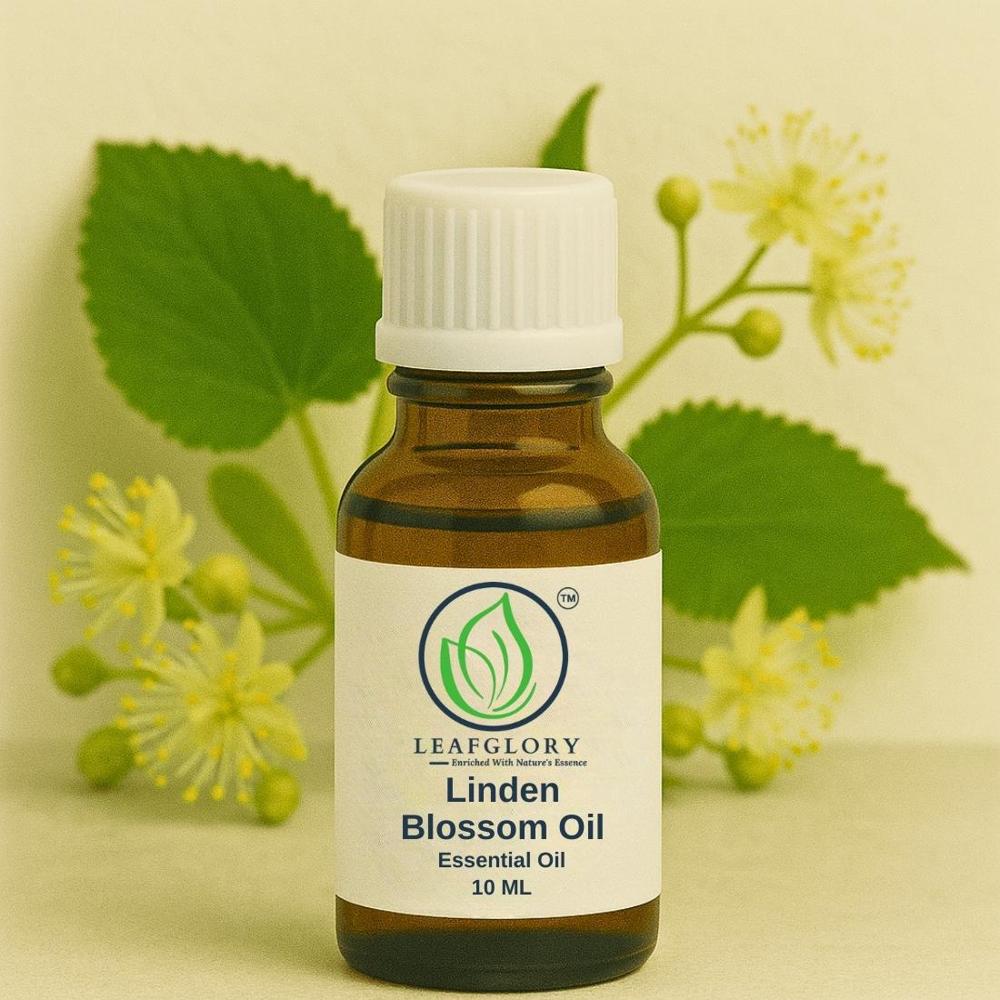 Linden Blossom Oil (Tilia cordata / Tilia vulgaris Floral Oil)  100% Pure & Natural Sweet Floral Oil for Premium Perfumery, Skincare & Aromatherapy | Manufacturer & Exporter | Leafglory