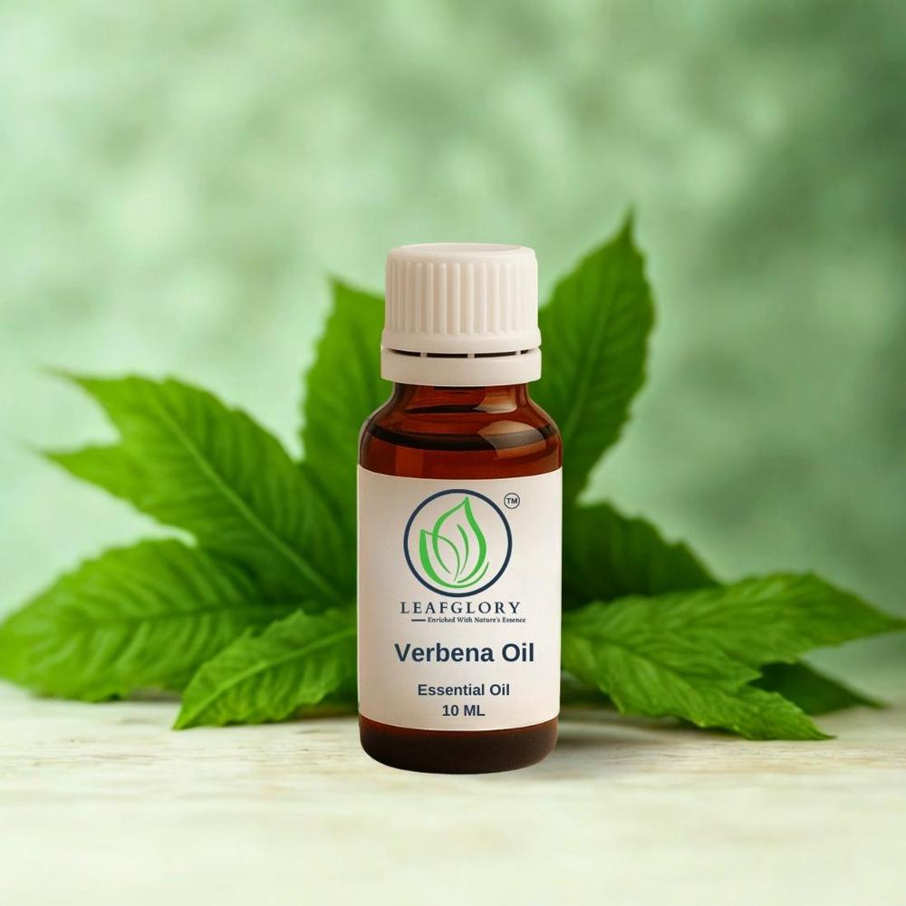 Spanish Verbena Essential Oil (Thymus hiemalis)  Fresh Herbal, Citrus Aroma | Industrial, Aromatherapy, Perfumery, Skincare & Cosmetic Grade| Manufacturer & Exporter | Leafglory