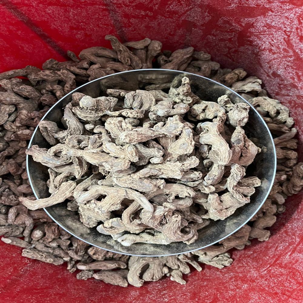 सोंठ