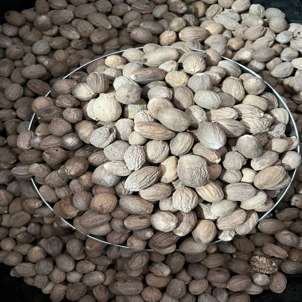 Fresh Nutmeg - Color: Brown