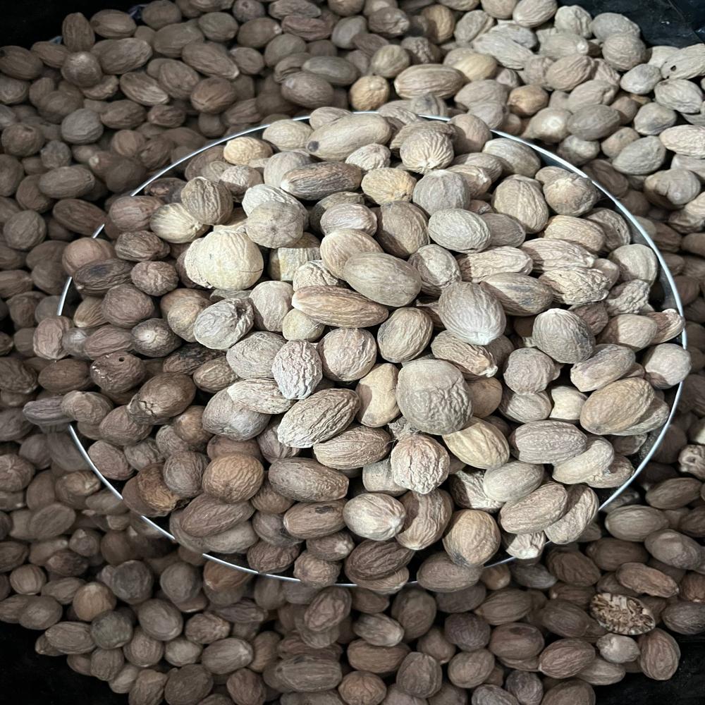 Fresh Nutmeg - Color: Brown