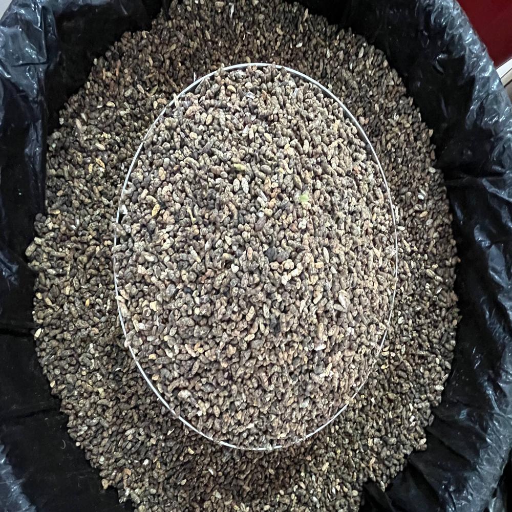 Seed Cluster Cardamom - Color: Black