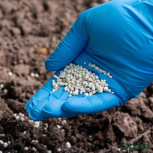 Fertilizer For Plants