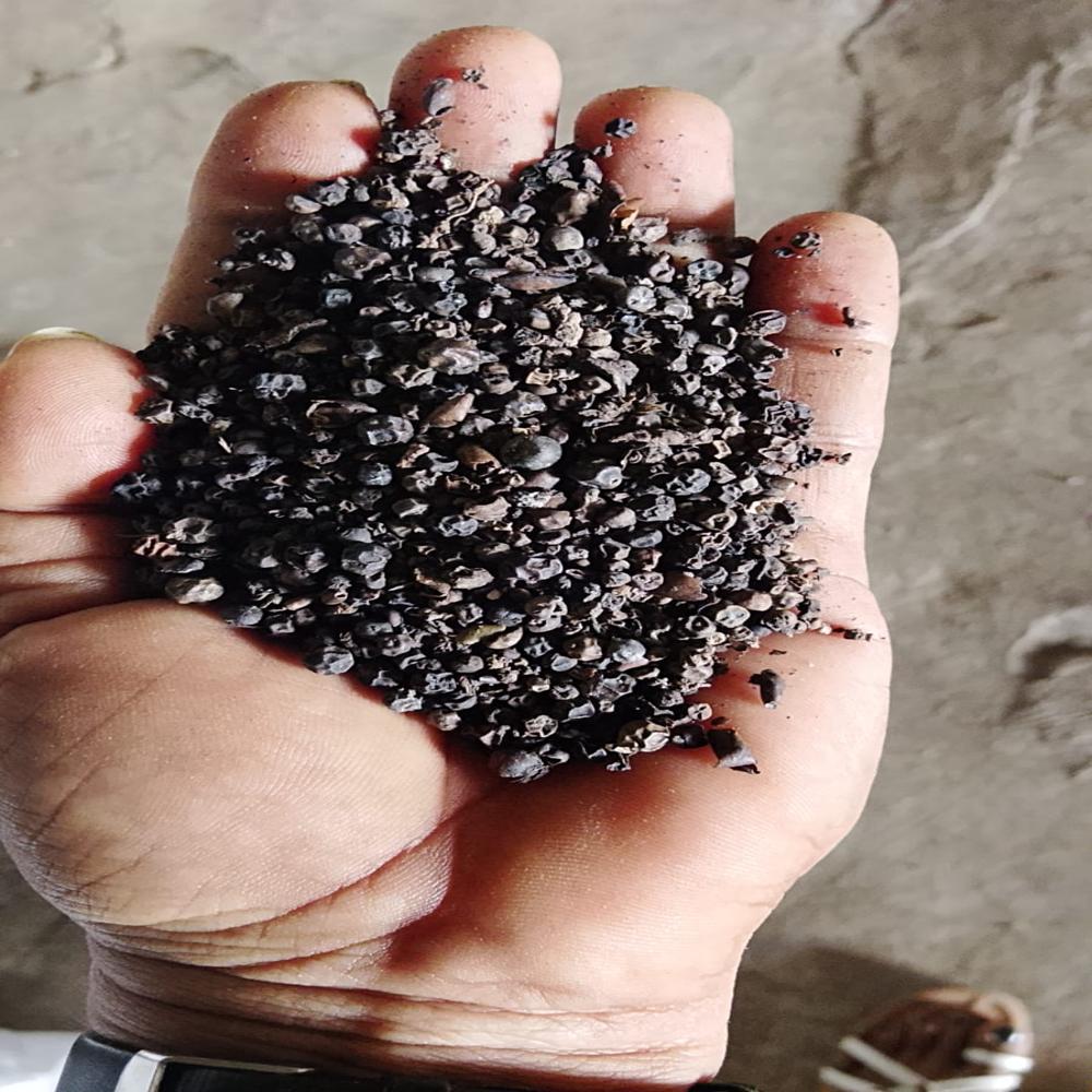 काली मिर्च लाइटबेरीज