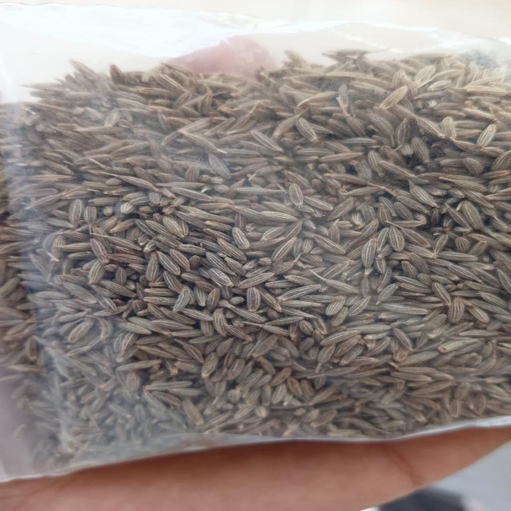 Cumin seeds