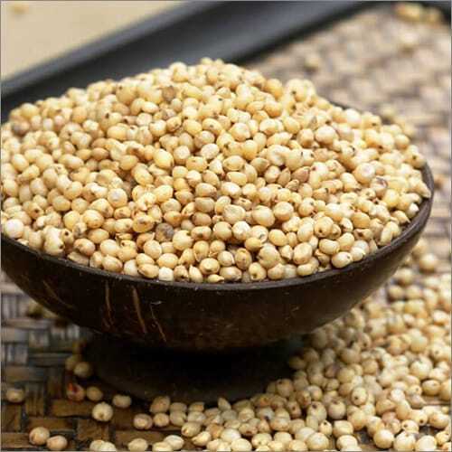 Jowar Millet - Origin: India