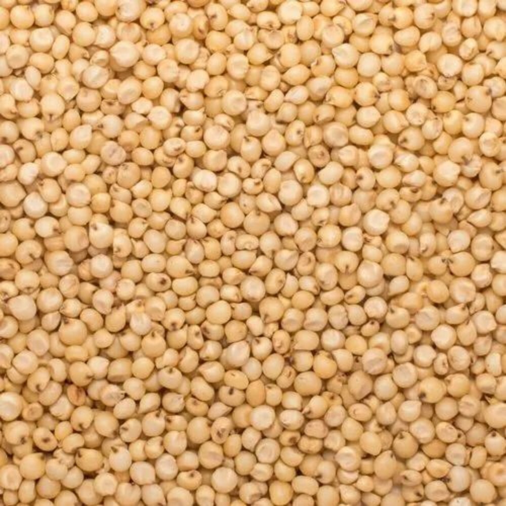 Soya Bean - Color: Brown