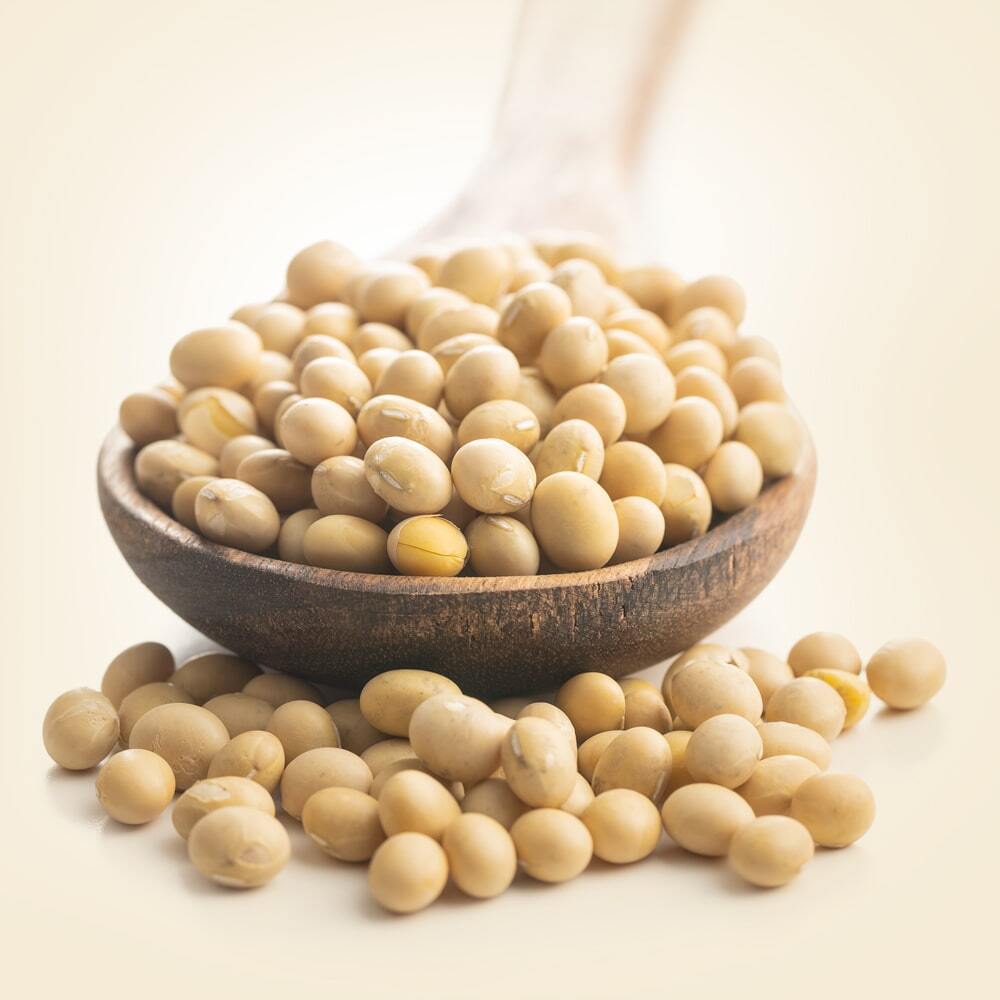 Soya Bean - Color: Brown