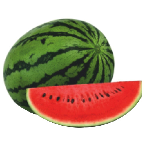 Harsh F1 Watermelon